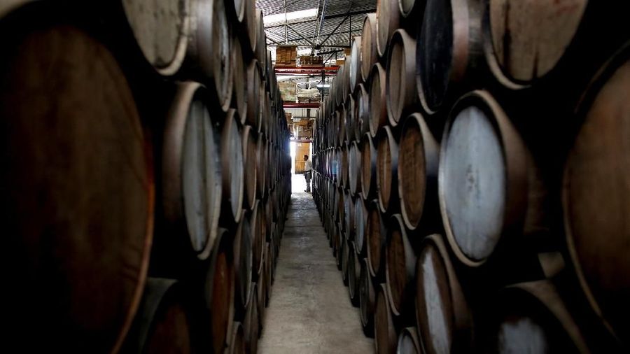 Agave merupakan spesies tumbuhan iklim kering yang digunakan sebagai bahan dasar pembuatan Tequila.
