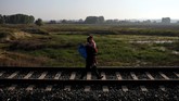 Saat fajar di dataran tergenang sepanjang perbatasan Yunani dan Turki, sosok para pengungsi bermunculan dari balik kabut. (REUTERS/Alkis Konstantinidis).