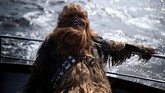 Skellig Michael hanya dibuka untuk publik akhir Mei sampai September. (REUTERS/Clodagh Kilcoyne)
