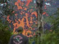 NASA Rilis Gambar Gempa dan Gunung Api Hawaii Lewat Radar
