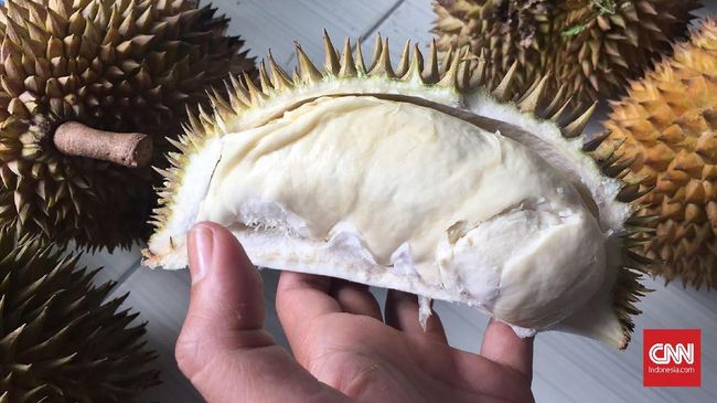 Gendu Durian, Makanan Favorit Atlet Asing di Asian Games 2018