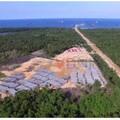 Benarkah Ada Banyak Pekerja China di Smelter Nikel Konawe?