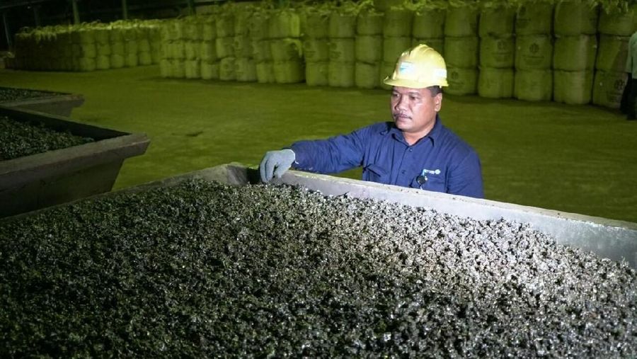 Korea Investment & Sekuritas Indonesia (KISI) menyebutkan EBITDA ini didorong kenaikan penjualan nickel dan feronikel di tahun ini dibandingkan dengan tahun.