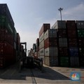 Peternak Unggas: RI Sebaiknya Batasi Impor Produk Hewan AS