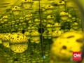 FOTO: Warna-warni Isi Kepala Yayoi Kusama