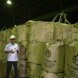 Antam Ingin Jadi Mayoritas di Tambang Emas Sumbawa