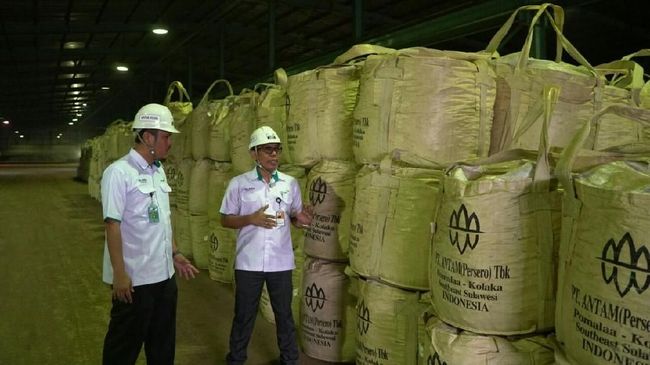 Antam Ingin Jadi Mayoritas di Tambang Emas Sumbawa