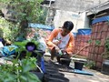 Kebun Mandiri Karya 'Tangan Dingin' Kurnia
