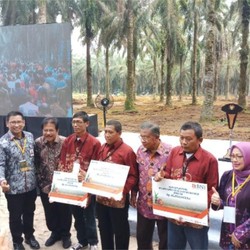 BNI Perluas Penyaluran KUR Replanting Kelapa Sawit ke Riau