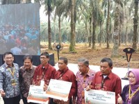 BNI Perluas Penyaluran KUR Replanting Kelapa Sawit ke Riau
