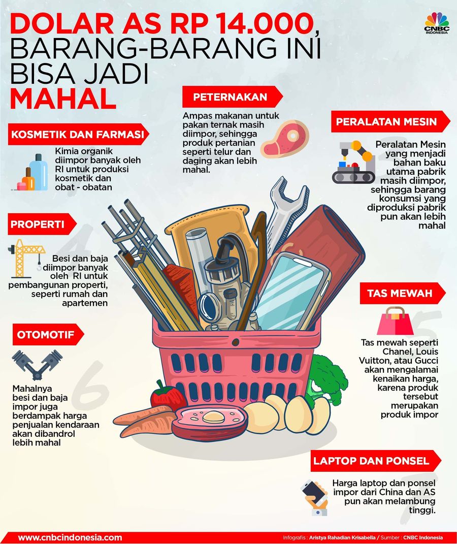Dolas AS tembus Rp 14.000 membuat barang yang menggunakan bahan baku impor atau langsung di impor akan menjadi lebih mahal.