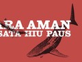 INFOGRAFIS: Cara Aman Wisata Hiu Paus