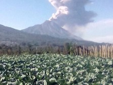 Dari Bromo Sampai Rinjani, 18 Gunung Api Berstatus Waspada