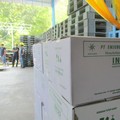 PGN Salurkan Gas ke Pabrik Infus Emjebe