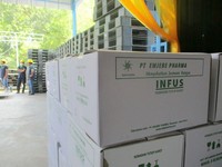 PGN Salurkan Gas ke Pabrik Infus Emjebe