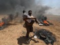 52 Warga Palestina Tewas Akibat Bentrokan di Gaza