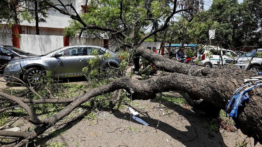 Mobil mewah yang tertimpa akibat pohon yang tumbang dari badai debu di New Delhi, India.
