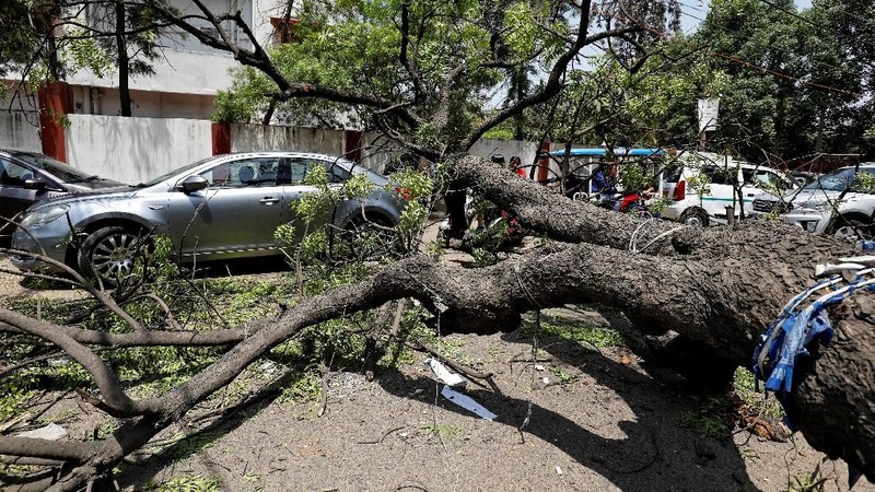 Mobil mewah yang tertimpa akibat pohon yang tumbang dari badai debu di New Delhi, India.