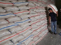 Tolak Komentar Soal Impor, Mentan: Stok Beras Cukup
