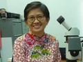Dwi Rahayu, Satu-satunya Peneliti Kelomang di Indonesia
