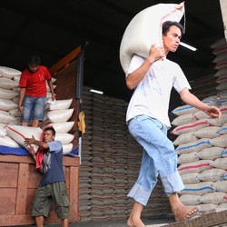 Ada 15 Juta Ton Beras, Ini Peta Stok Pangan RI Jelang Puasa