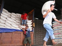 Harga Cenderung Turun, Aturan HET Beras Medium Ditunda
