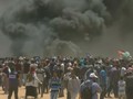 VIDEO: Demonstrasi di Gaza, Puluhan Warga Palestina Tewas