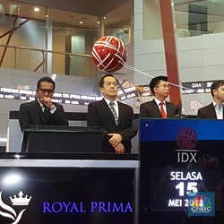 Resmi Tercatat, Saham Royal Prima Sentuh Batas Auto Reject