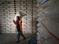 Foto: Pemerintah Tekan Kenaikan Produksi Beras untuk Ramadhan