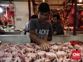 PD Pasar Jaya DKI Klaim Harga Daging Ayam Stabil Saat Lebaran