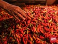 Dekati Rp70 Ribu per Kg, Harga Cabai Rawit Merah Kian 'Pedas'