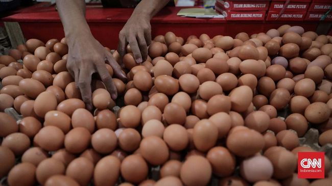 Mengenal Dioksin yang Cemari Telur Di Jawa Timur