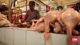 Mencuci Daging Ayam dengan Air Tak Ampuh Usir Kuman