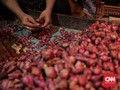 Airlangga Awasi Harga Bawang Merah, Biang Kerok Inflasi
