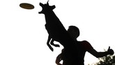 Seekor anjing melompat tinggi ke udara sembari menangkap piring lempar di sebuah taman di Madrid, Spanyol. Pemilik sang anjing terpotret di belakangnya. (REUTERS/Sergio Perez)