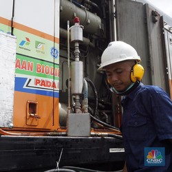 Pemerintah Diminta Setop Program Biodiesel Cukup Sampai B20