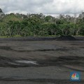 Tambang Disetop Pemerintah, Tanito Harum PHK 300 Karyawan!