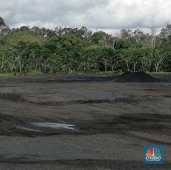 Meski Tertekan, Harga Batu Bara Masih Bisa Naik Tipis
