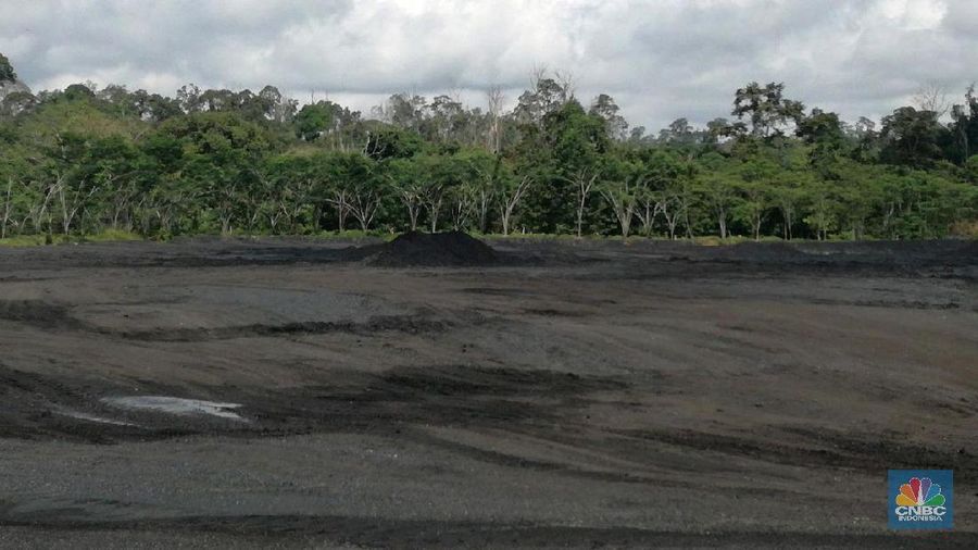 Harga batu bara naik tipis di penutupan Agustus 2018.