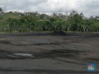 Tambang Disetop Pemerintah, Tanito Harum PHK 300 Karyawan!