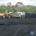 Harga Batu Bara Membara! 5 Hari Naik Terus