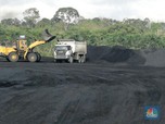 Bisnis Overburden Naik, Samindo Siapkan Capex Rp 249 M
