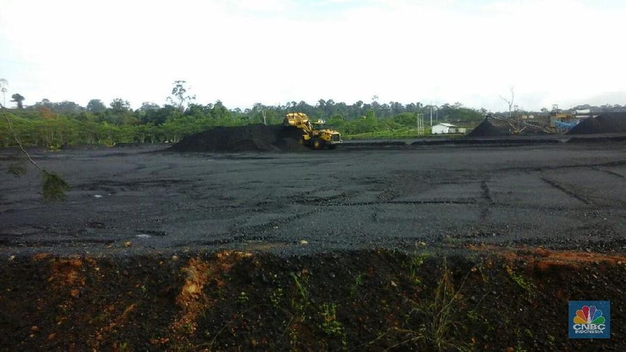 Apindo nilai rencana perubahan dmo batu bara hanya menolong keuangan negara sementara