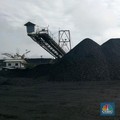 Era Kelam Tiba: Batu Bara Bisa Jadi 'Aset Beracun' Hingga 2028