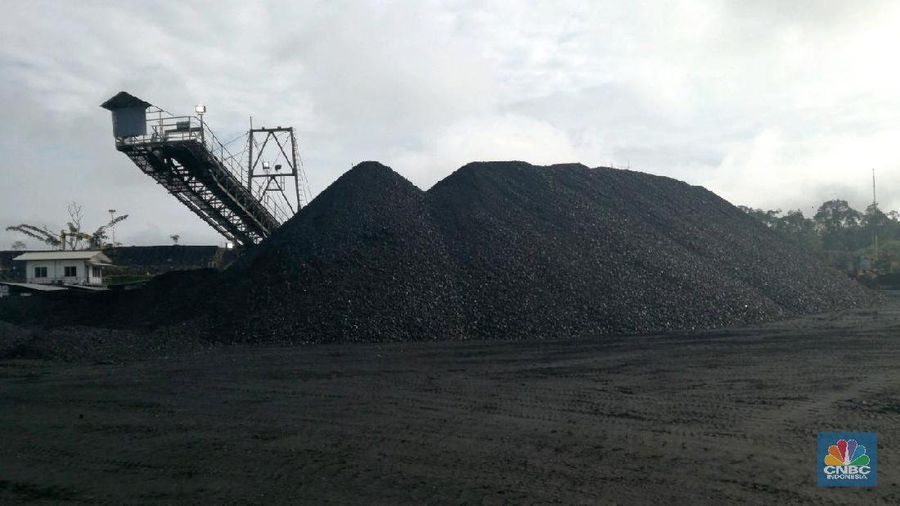 Batu bara, Kalimantan