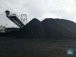 Ekspor Indonesia ke China Meroket, Harga Batu Bara Naik 0,2%