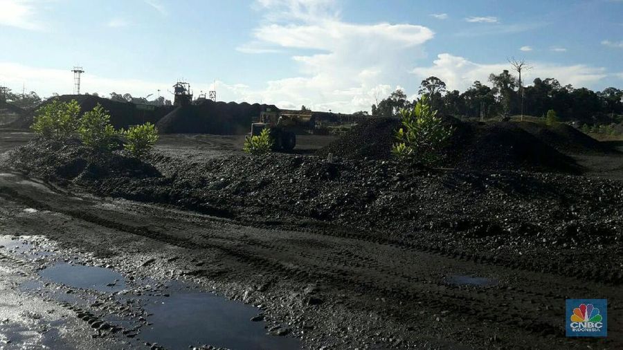 Dirjen Minerba ungkap cadangan batu bara RI tak seberapa, namun produksinya tetap digenjot 