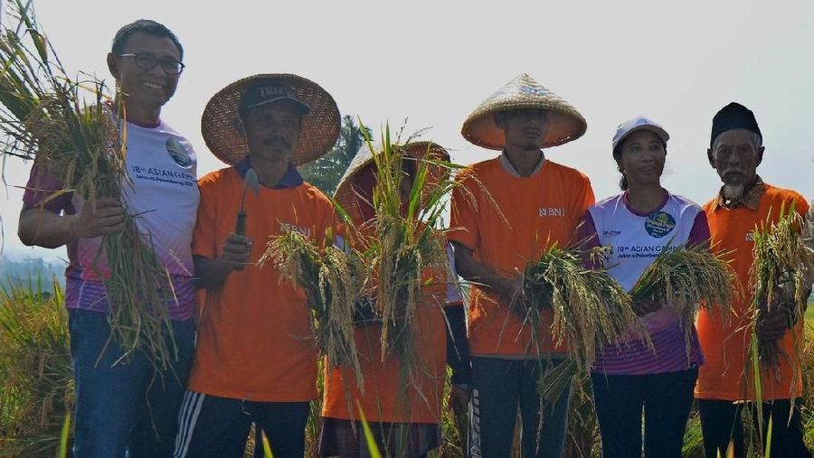 Serap gabah seberat 4,5 ton ini dilaksanakan di lahan seluas 6.500 m2