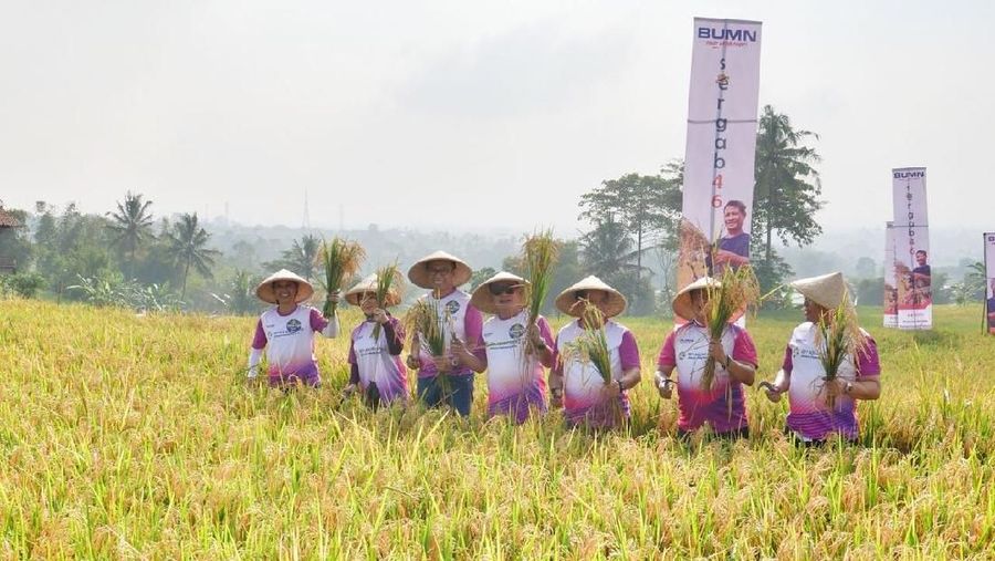 RI siapkan perpres untuk lahan sawah abadi.