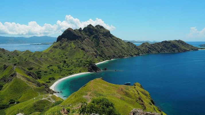 Tarif Diusulkan Rp14 Juta, Berapa Biaya Masuk Pulau Komodo? Pulau Komodo punya tarif khusus bagi wisman dan domestik.